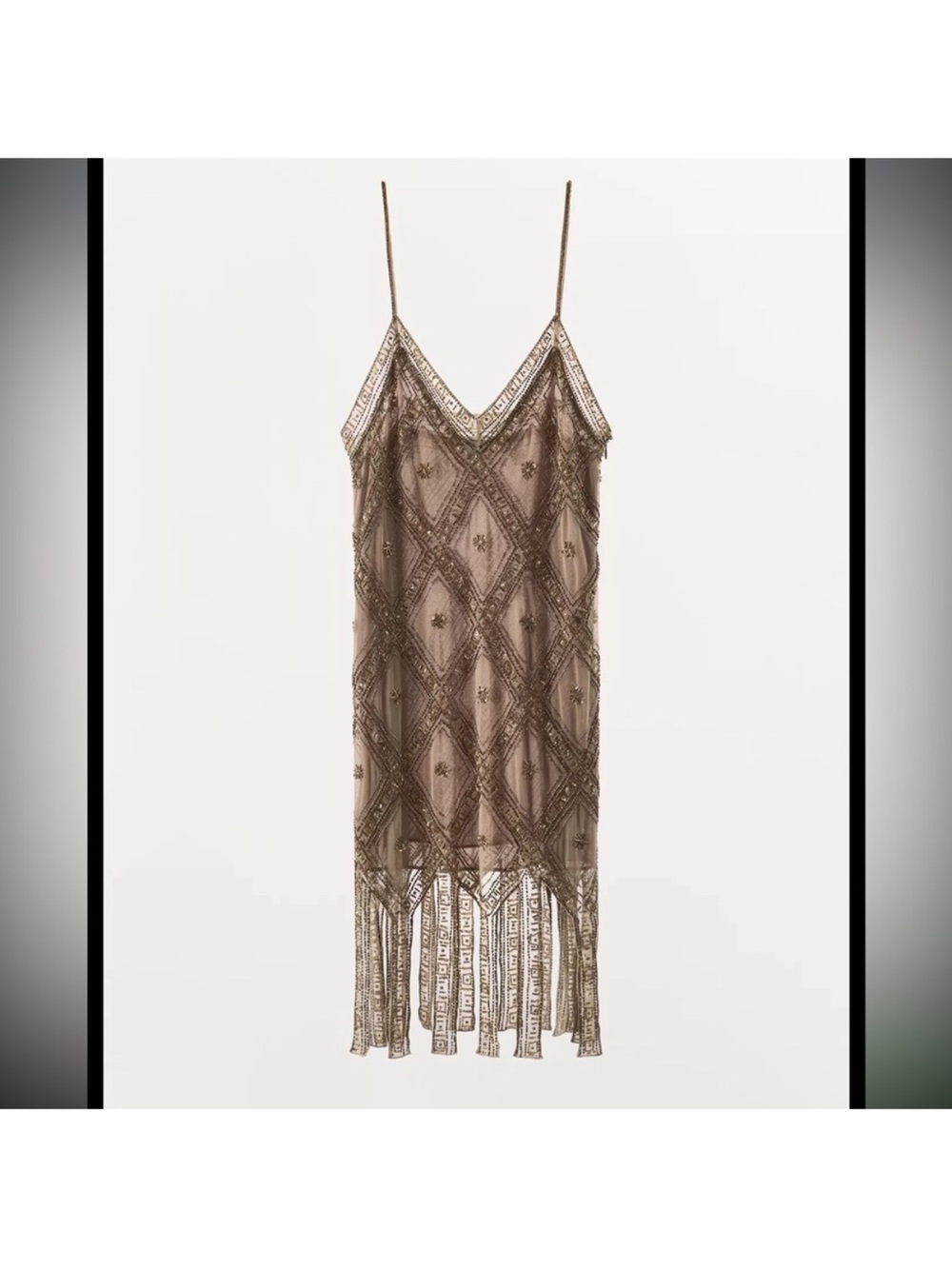 Zara Gold‎ Embroidered Tull Dress